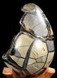 Septarian Dragon Egg Geode - Crystal Filled #37299-2